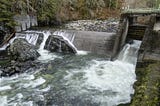 The Middle Fork Nooksack River Fish Passage Project will benefit people, fish, and orcas