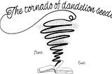 Postmortem ~ The tornado of dandelion seeds.