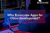 Why choose Braincrew Apps for Odoo Development?