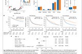 Accelerating Clinical Innovation: The MSK-CHORD Blueprint for Health System Data Transformation