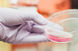 Software testing is like clinical trials