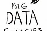 The Little Book of Big Data Fallacies