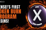 Token Burn Program Begins!