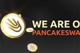 End of the presale and launch on PancakeSwap (Next steps, holders wallets)