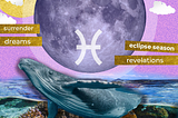 Starcodes Sept 13, 2024 \
