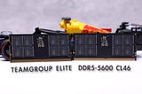 升都升了，就當一回數值怪！TEAMGROUP ELITE DDR5–5600 CL46 32GBx2 筆記型記憶體