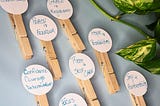 From Limitations to Liberation: Cultivating Your Best-Self Garden