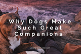 Why Dogs Make Such Great Companions