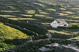 The Irish Disappeared: Fathers, Mothers, Sons, Friends, and Cousins
