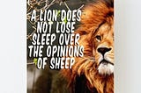A lion never loses sleep over the opinions of sheep.