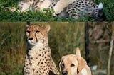 The beauty of Sustainable Friendships