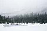 Winter forest. Snowfall over trees with a lake in the foreground.