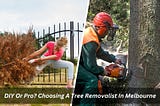 Image presents DIY Or Pro? Choosing A Tree Removalist In Melbourne