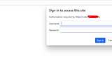 How I Found a Broken Access Control Flaw: Bypassing Authentication with Extensionless Paths.