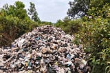 What I Learned About Illegal Dumping: A Firsthand Experience