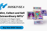 HOSKINSEA: Largest Decentralized NFT Marketplace Building on the Cardano Blockchain
