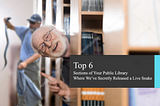 Top 6 Sections of Your Public Library Where We’ve Secretly Released a Live Snake