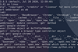 screen capture of Python interactive shell in terminal emulator
