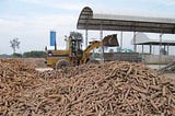 CASSAVA COMMERCIAL PROCESSING, PACKAGING AND EXPORTS