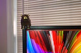 A brown foam bear figure perched on the corner of a computer monitor