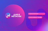 Progress Report on Janus Project