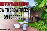 Is it good to plant a tree on terrace: 6 Benefits and Key Points