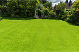 Steps to Fertilize Your New Jersey Lawn