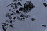 Azotobacter and Azospirillum