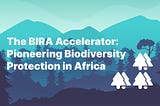 Introducing the BIRA Accelerator: A Game-Changer for Biodiversity in Africa