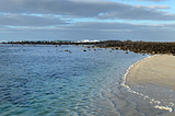 Morning Walk in Port Fairy