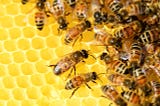 Building around the customer and organisational disruption