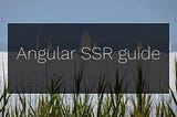 angular ssr guide