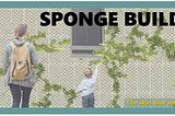 Sponge Building Project