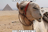 IoT Platforms — Camels to Can Openers