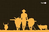 “I dream to solve farmer-herder conflicts through films” — UNESCO film winner