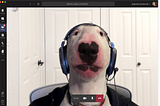 React — Recording a Webcam Video and Uploading it to S3