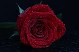 Well Known Perfumes that Makes the Best Gift Choice!