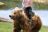 Memes du Président Vladimir Poutine à dos d’ours. Cette photo a été photoshoppée par des internautes.