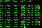 ls -al showing ownership of directories in /var/lib inside the MySQL container.