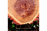 The photo shows the cross-section of a locust tree with the rings visible. It had been cut after falling on my neighbors vehicle.