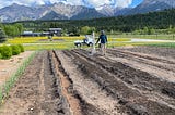 A man waters the soil with a hose while large mountains loom in the distance.