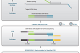 New SciDAP Application: QuantSeq™