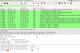 Basic Malware Analysis