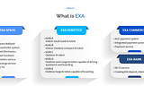 What is EXA