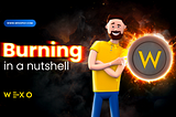 We Will Burn 14.5% of WEXO Tokenomics