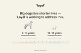 Longevity — a trend in all directions