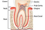 TOOTHACHE — CAUSES, SYMPTOMS , CURE