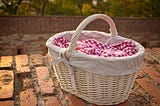 A wicker basket with a red checked gingham cloth, ready to be picked up and carried.