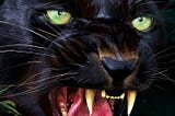 angry black jaguar