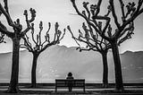 A person sitting alone on a bench. The bench has trees on either side and it is facing the mountains.